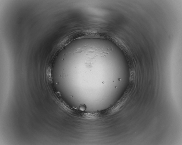 X0000116380238200912021526