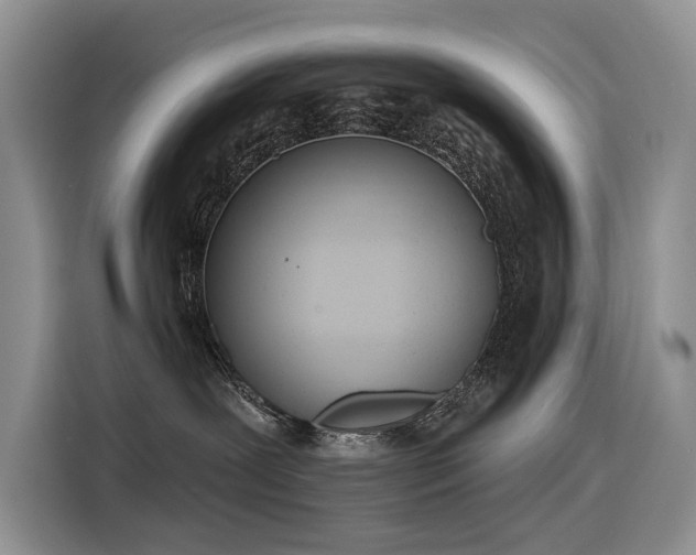 X0000116380239200912021526