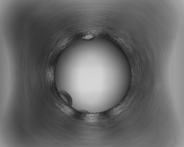 X0000116380240200912021526