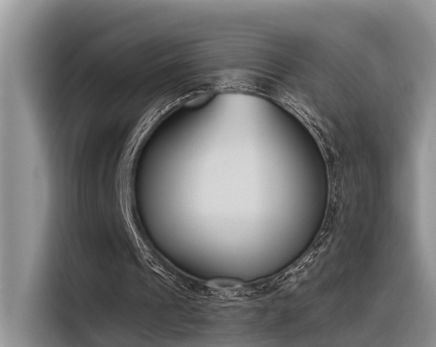 X0000116380241200912021525