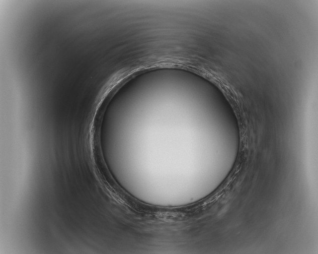 X0000116380242200912021525