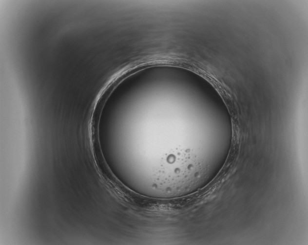 X0000116380244200912021525