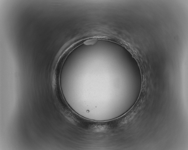 X0000116380247200912021525
