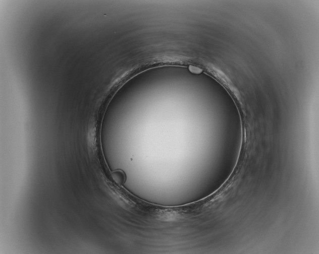 X0000116380249200912021525