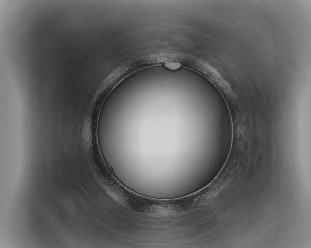 X0000116380250200912021525