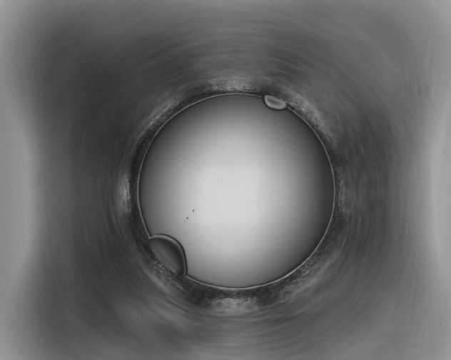 X0000116380251200912021525