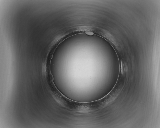 X0000116380252200912021525