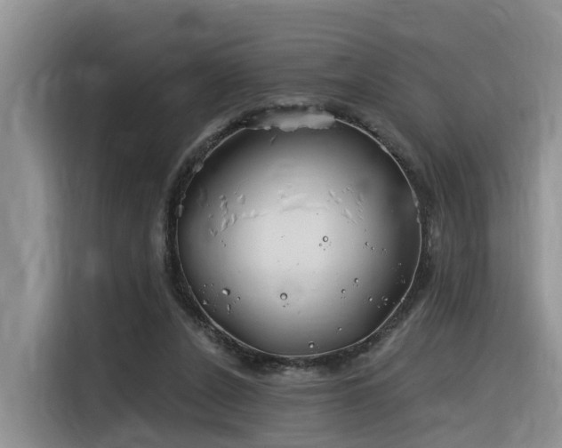 X0000116380256200912021525