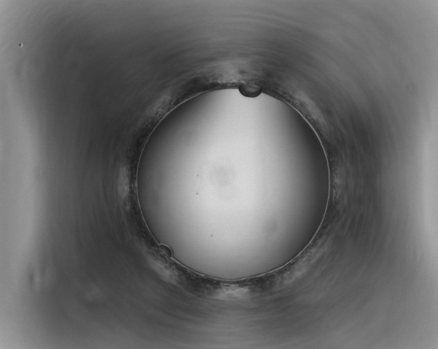 X0000116380257200912021525