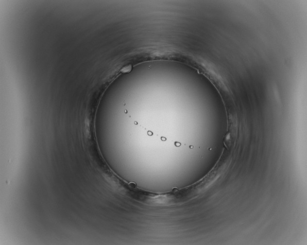 X0000116380269200912021525