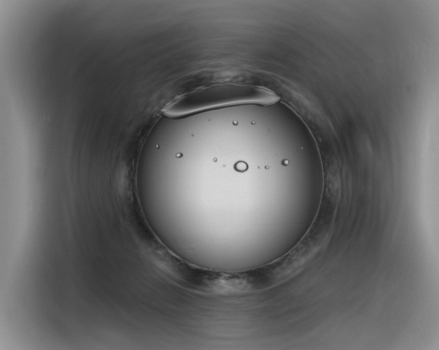X0000116380270200912021525