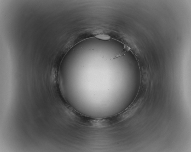 X0000116380273200912021525