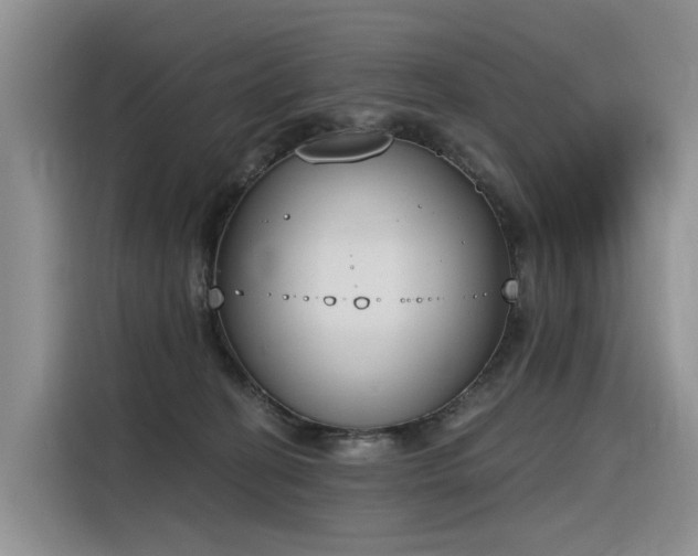 X0000116380274200912021525