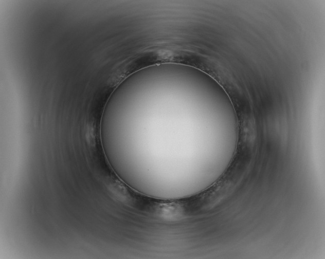 X0000116380275200912021526