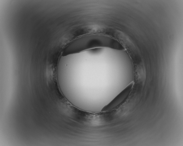X0000116380276200912021526
