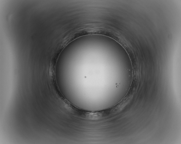 X0000116380277200912021526