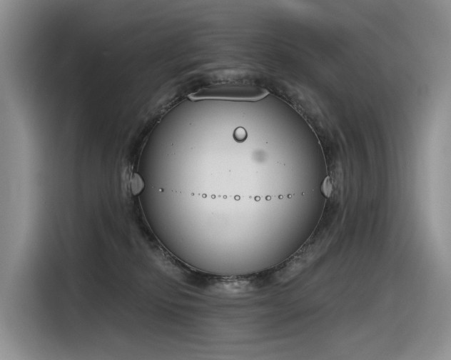 X0000116380278200912021526