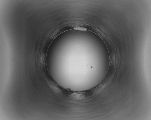 X0000116380280200912021526