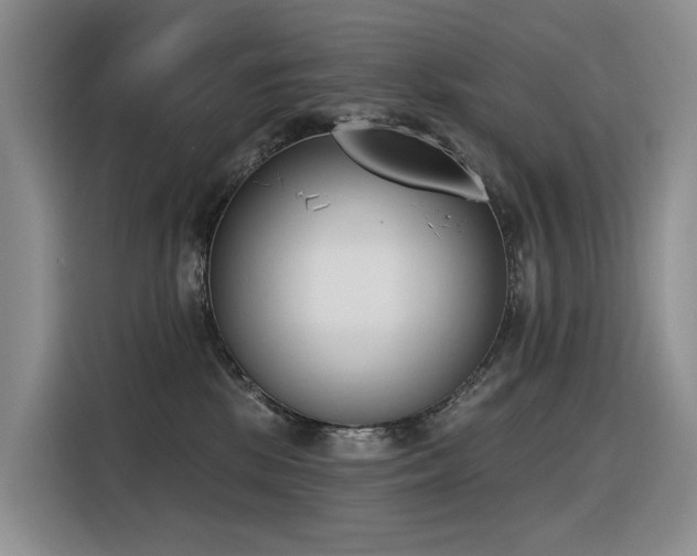 X0000116380281200912021526