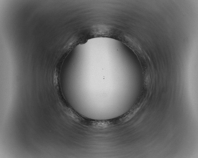X0000116380282200912021526
