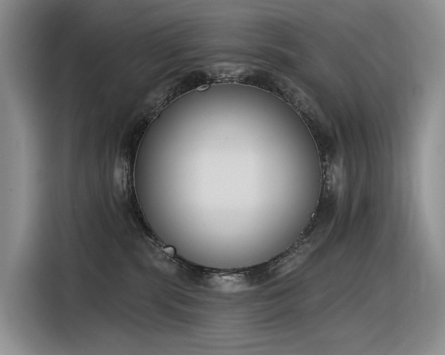 X0000116380283200912021526