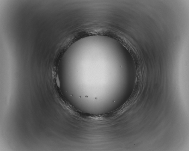 X0000116380284200912021526