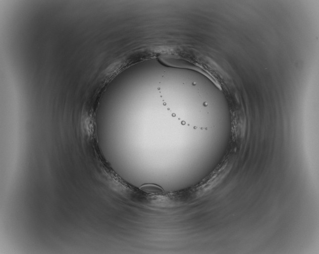 X0000116380285200912021526