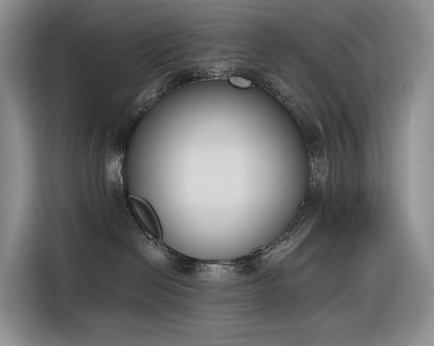 X0000116380286200912021526