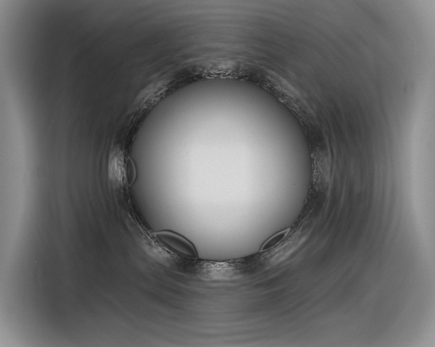 X0000116380287200912021526