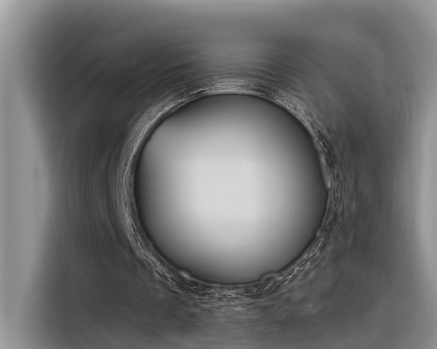 X0000116380289200912021525