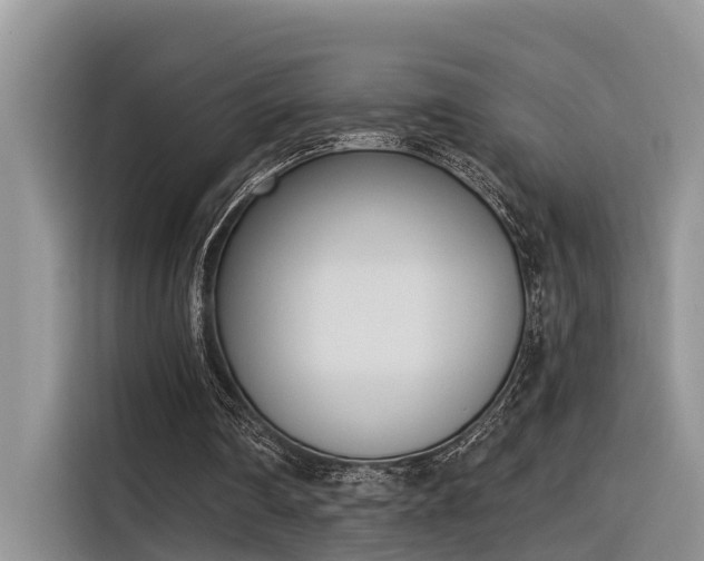 X0000116380290200912021525