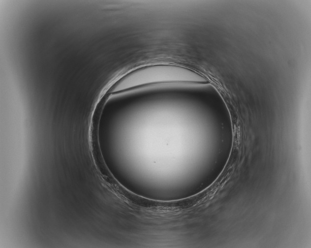 X0000116380292200912021525