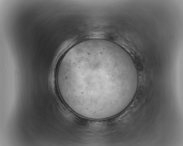 X0000116380293200912021525