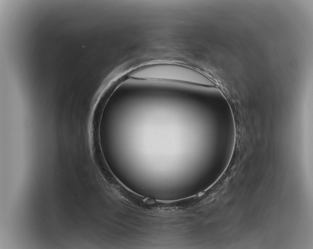 X0000116380296200912021525