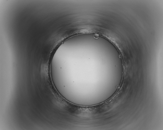 X0000116380297200912021525