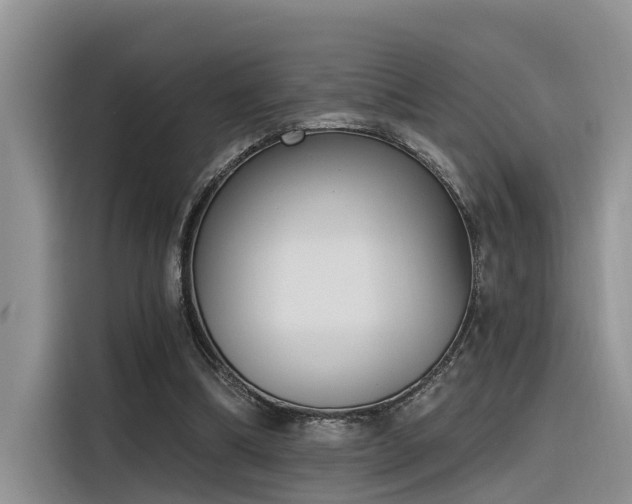 X0000116380298200912021525