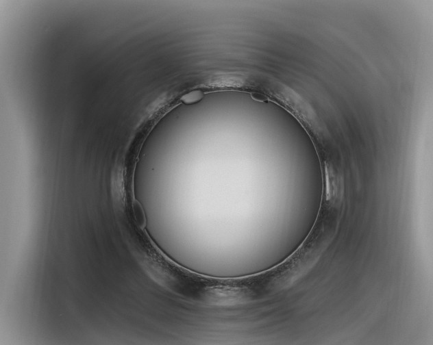 X0000116380300200912021525