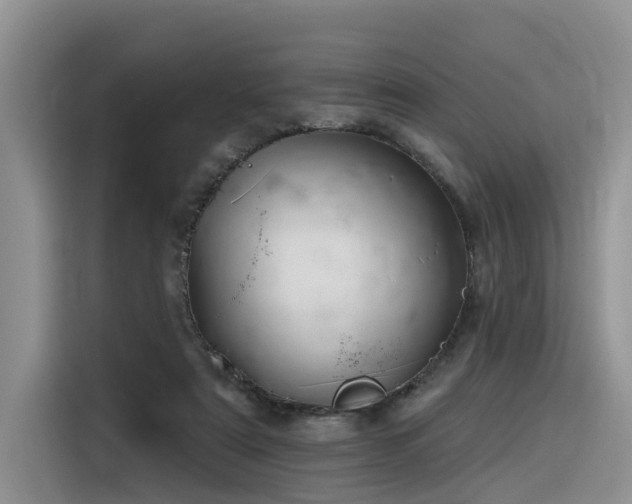 X0000116380307200912021525