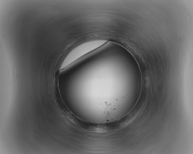 X0000116380308200912021525