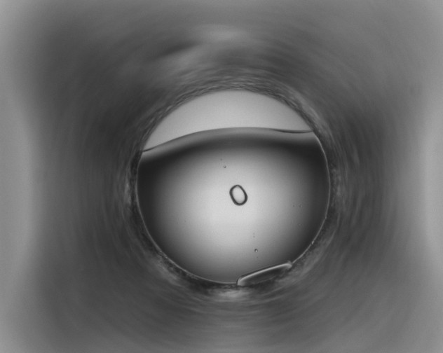 X0000116380313200912021525