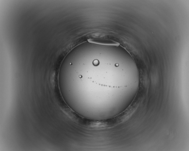 X0000116380319200912021525