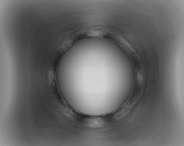 X0000116380322200912021525