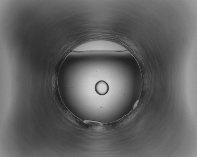 X0000116380325200912021525