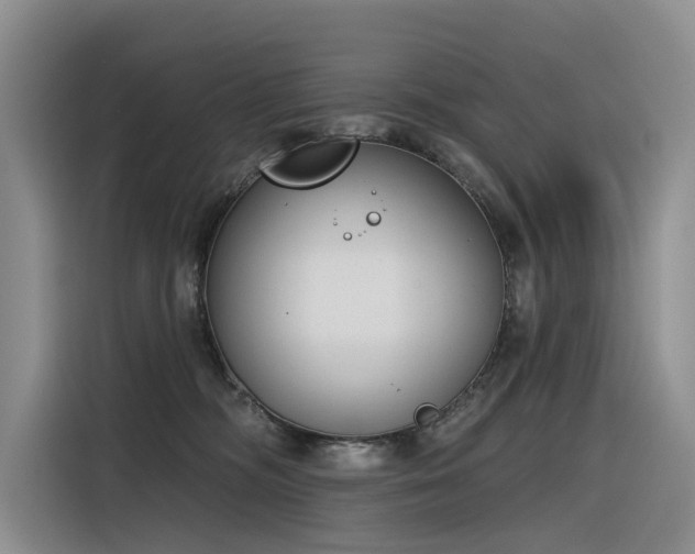 X0000116380326200912021525