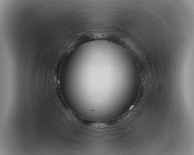 X0000116380327200912021525