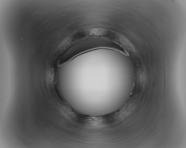 X0000116380328200912021525