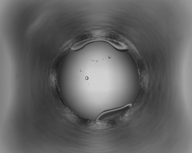 X0000116380329200912021525
