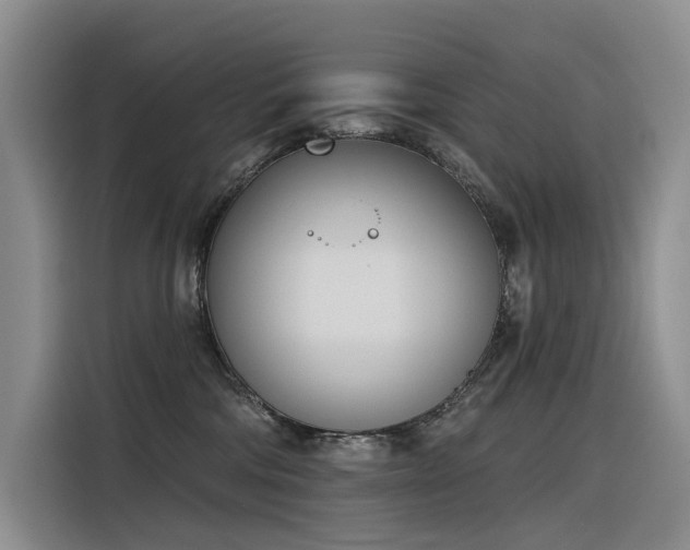 X0000116380330200912021525