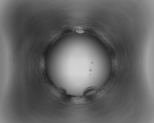X0000116380331200912021524