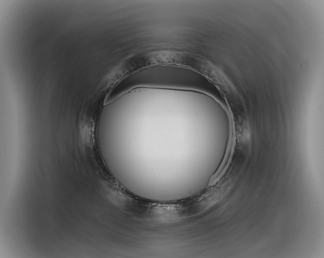 X0000116380332200912021524